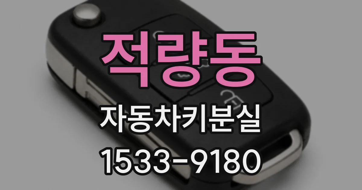 적량동 자동차키분실