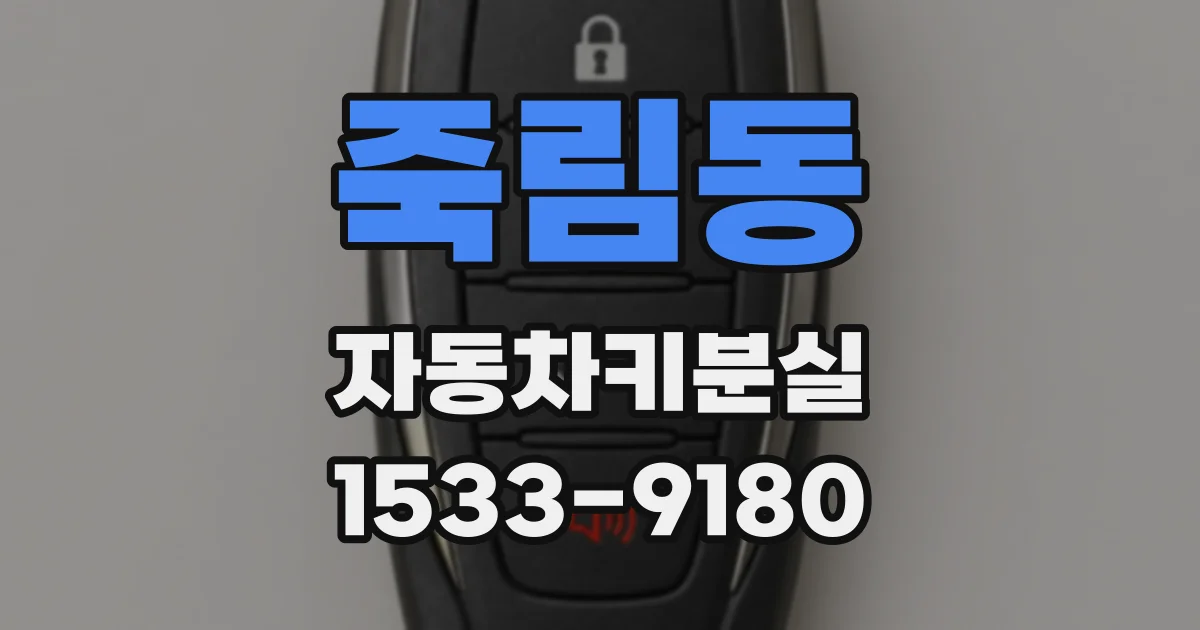 죽림동 자동차키분실