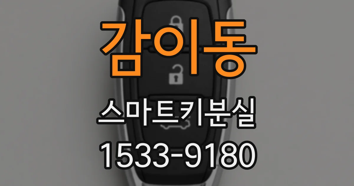 감이동 스마트키분실