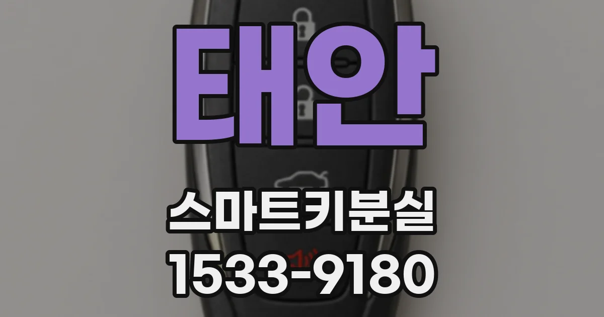 태안 스마트키분실