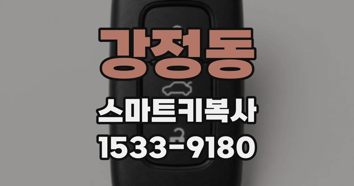 강정동 스마트키복사