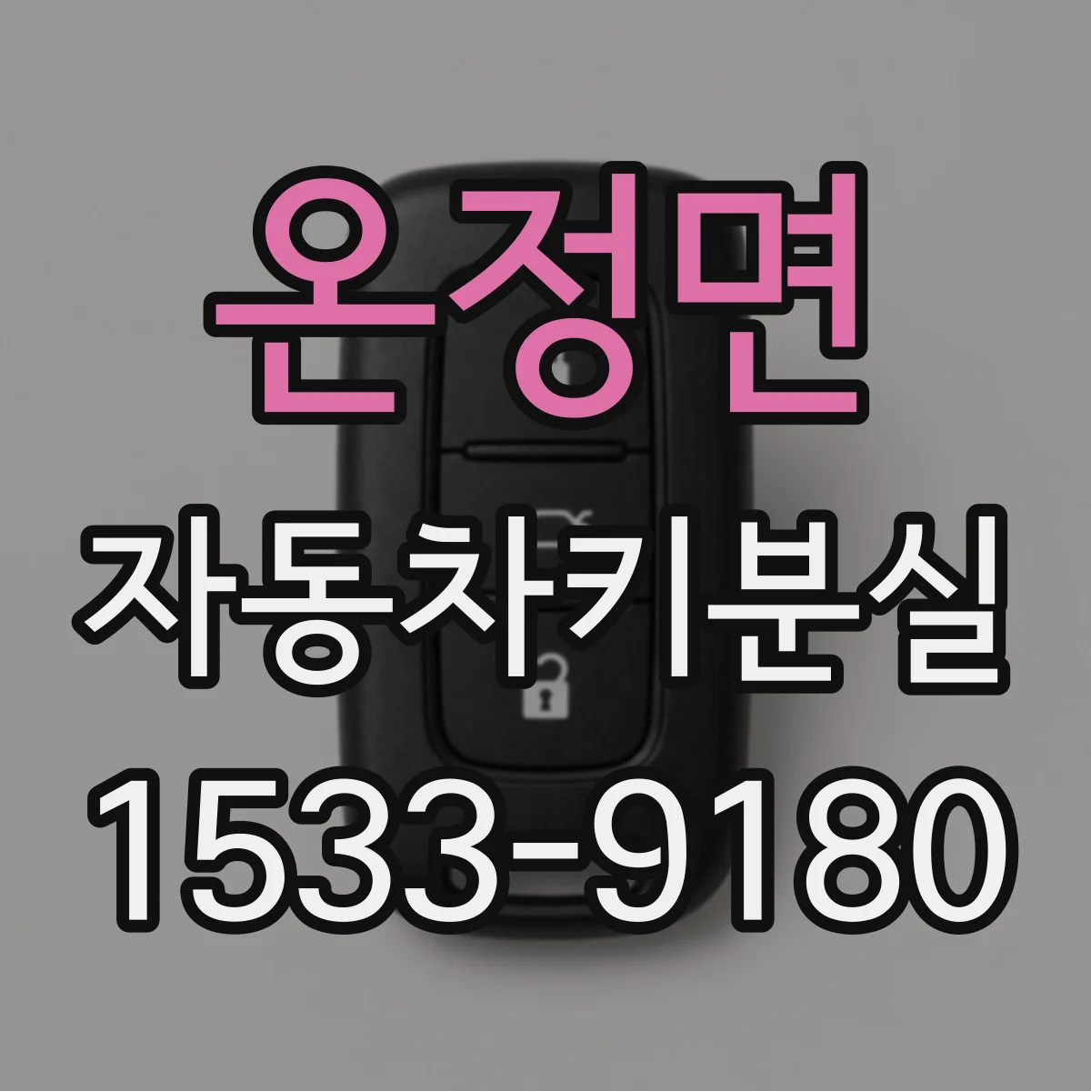온정면 자동차키분실