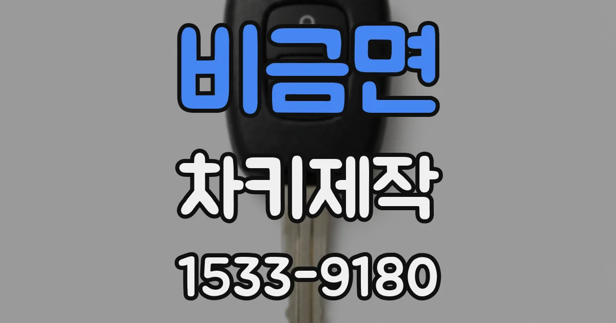 비금면 차키제작