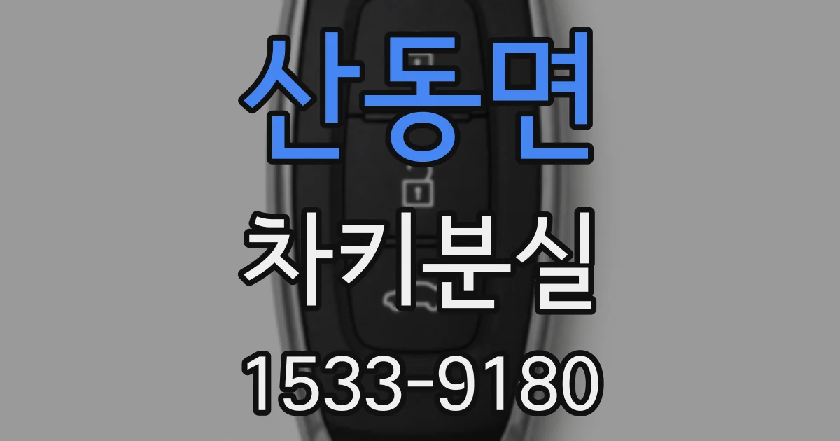 산동면 차키분실
