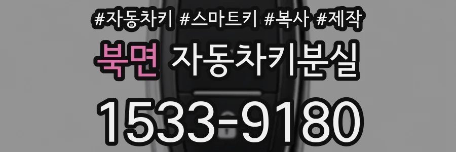 북면 자동차키분실
