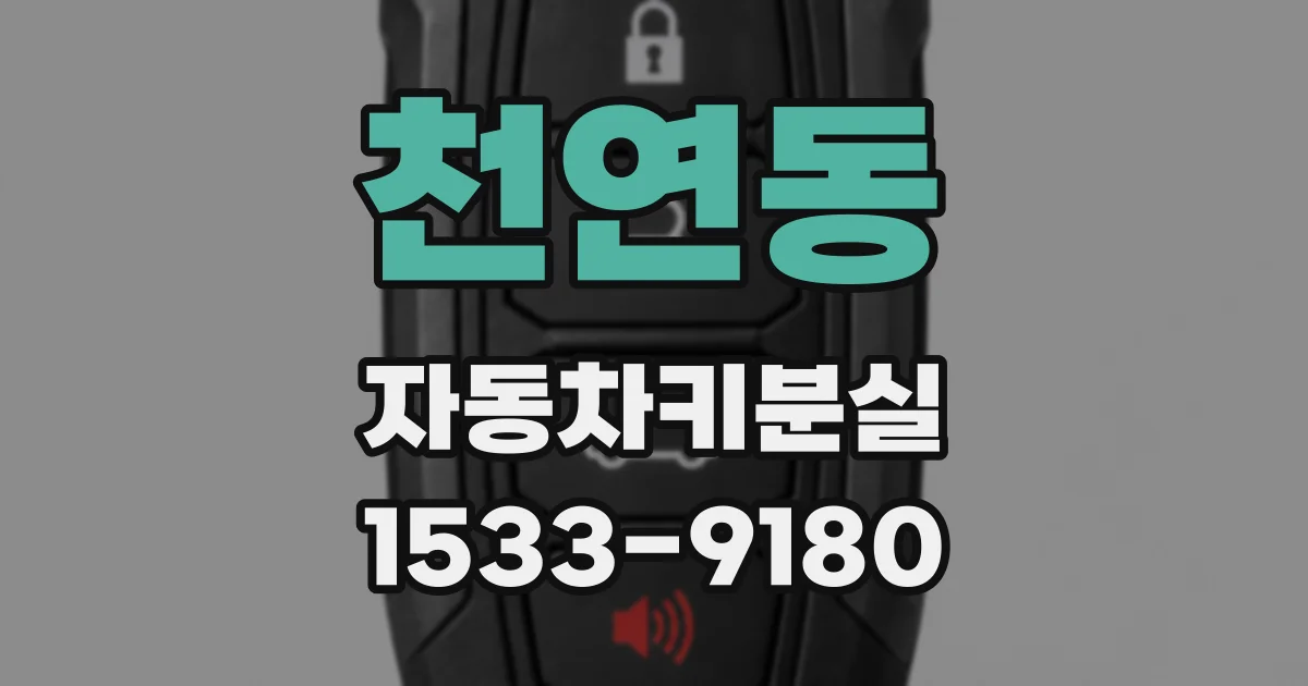 천연동 자동차키분실