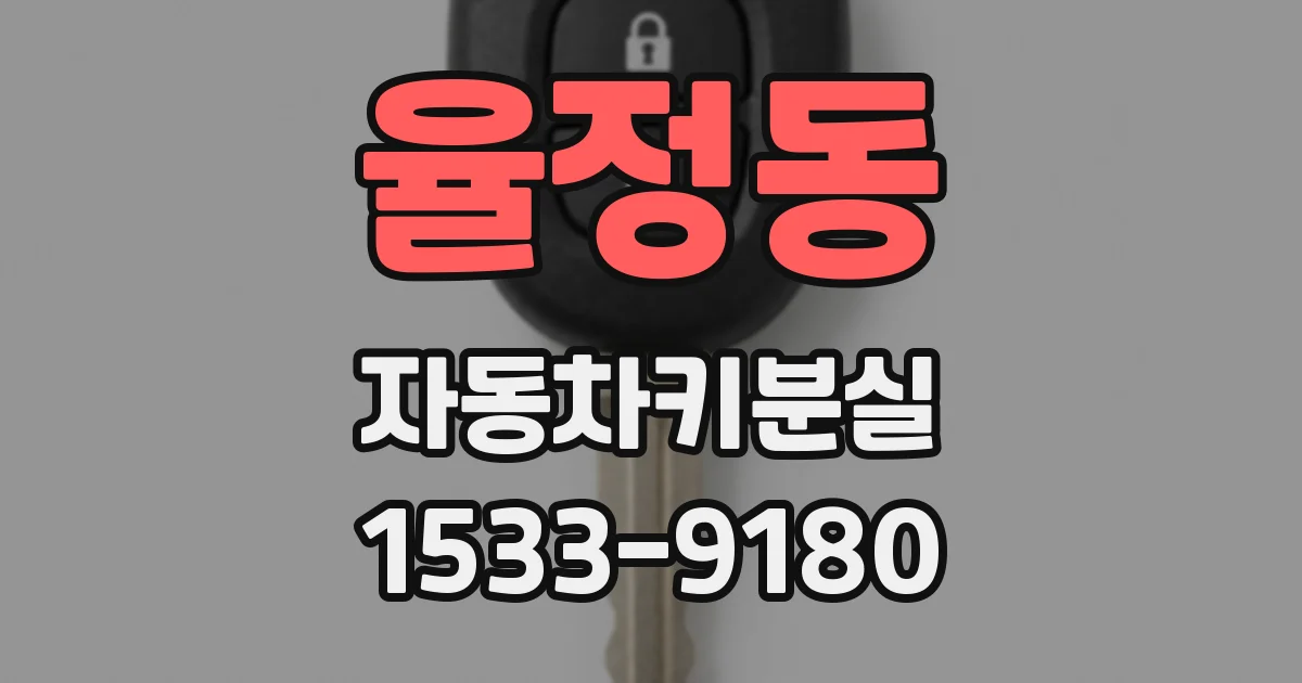 율정동 자동차키분실