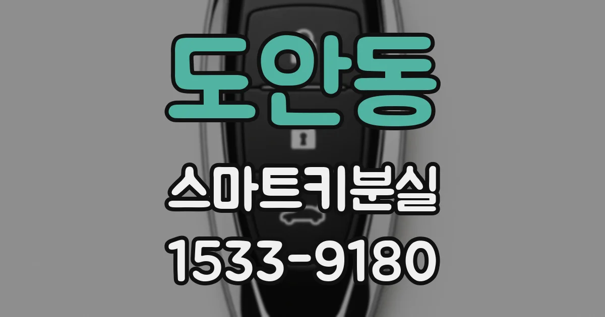 도안동 스마트키분실