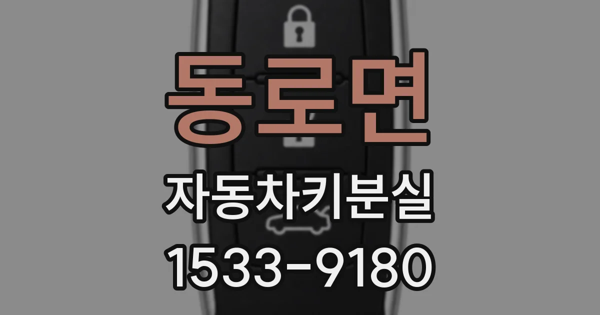 동로면 자동차키분실
