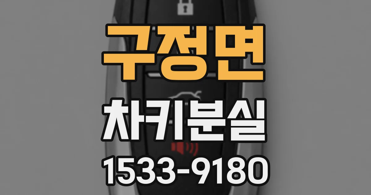 구정면 차키분실