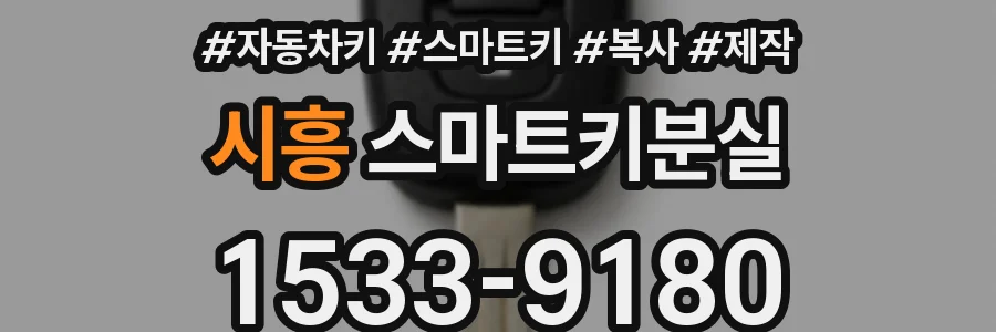시흥 스마트키분실