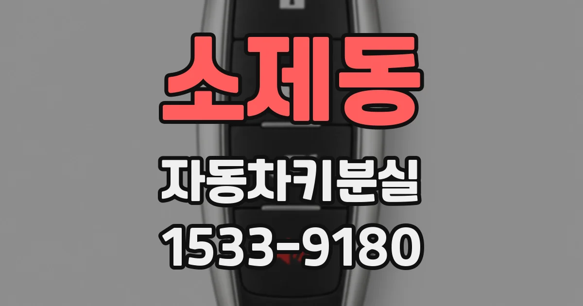 소제동 자동차키분실