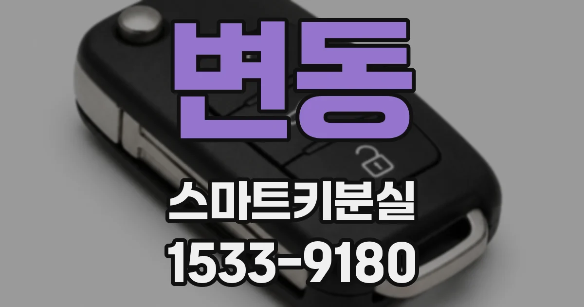 변동 스마트키분실