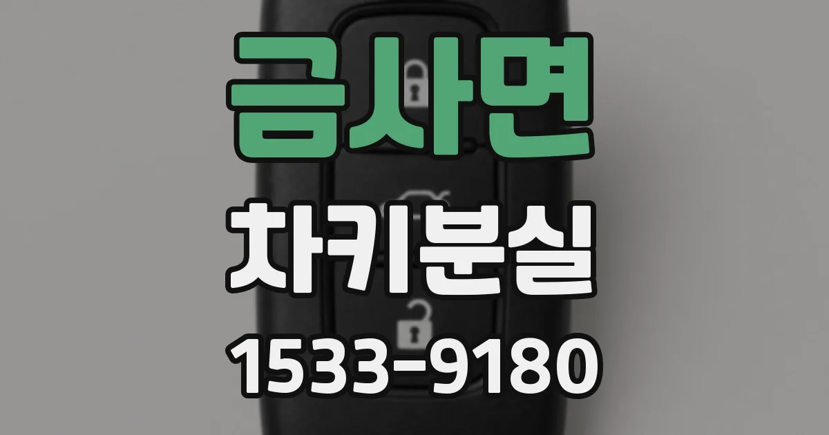 금사면 차키분실