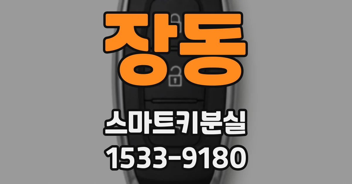 장동 스마트키분실
