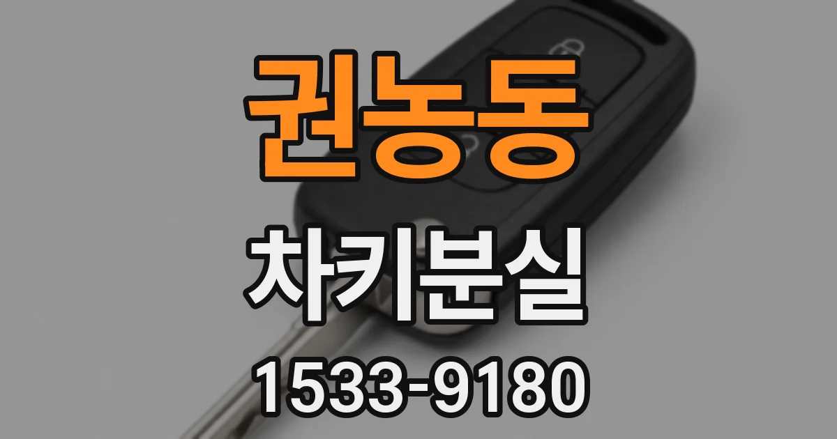 권농동 차키분실