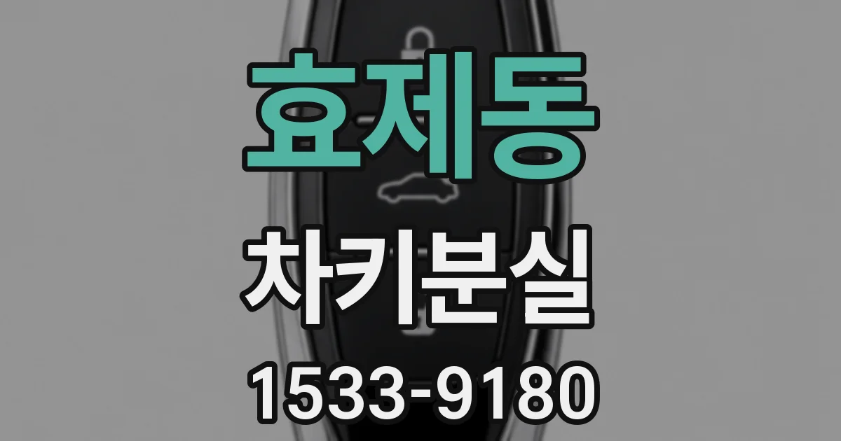 효제동 차키분실