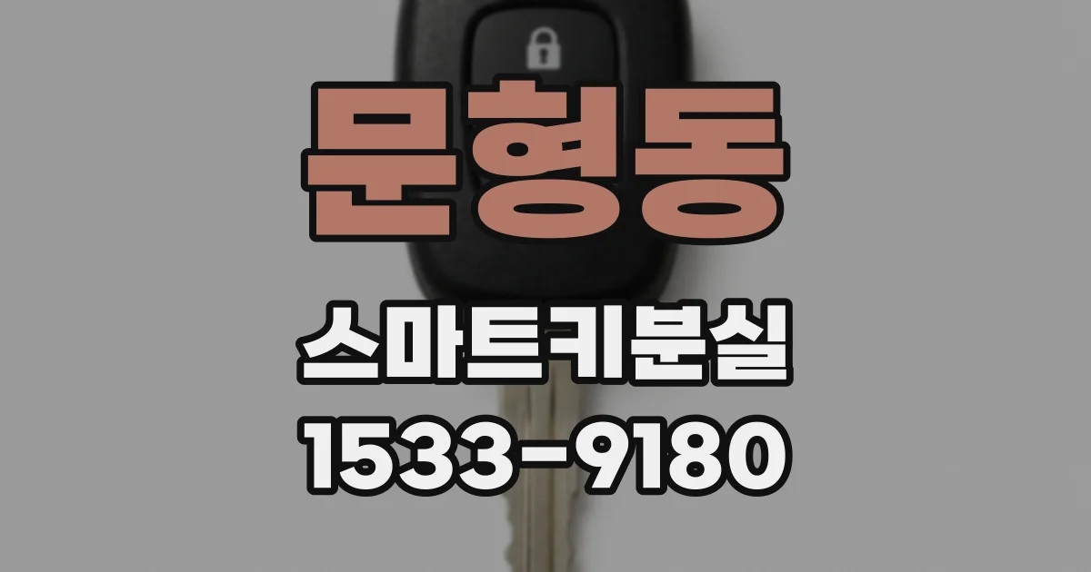 문형동 스마트키분실