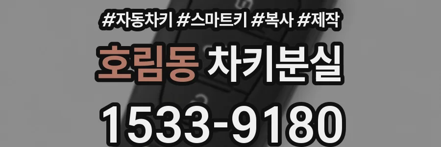 호림동 차키분실
