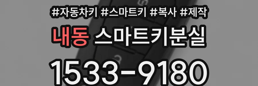 내동 스마트키분실