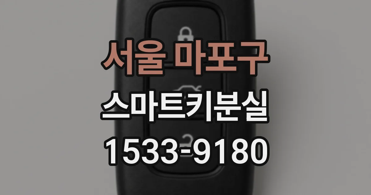 서울 마포구 스마트키분실