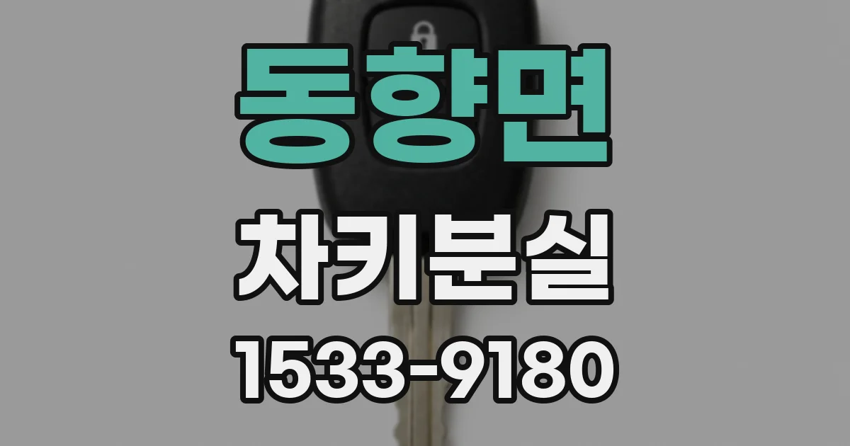 동향면 차키분실
