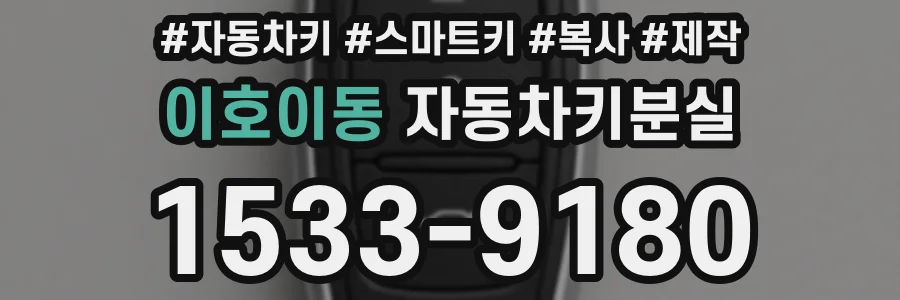 이호이동 자동차키분실