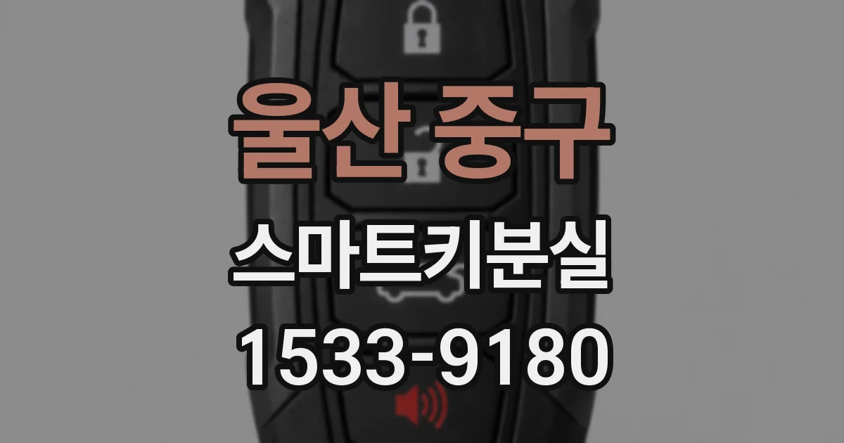 울산 중구 스마트키분실