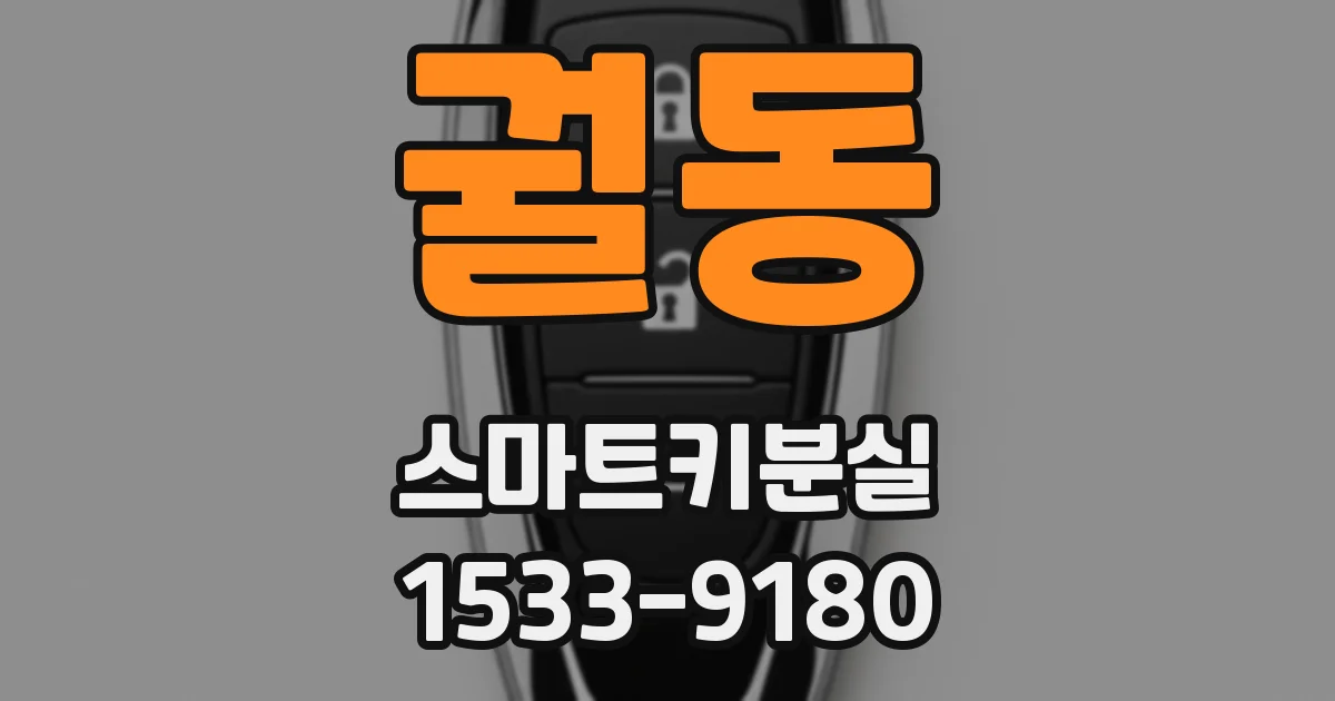 궐동 스마트키분실