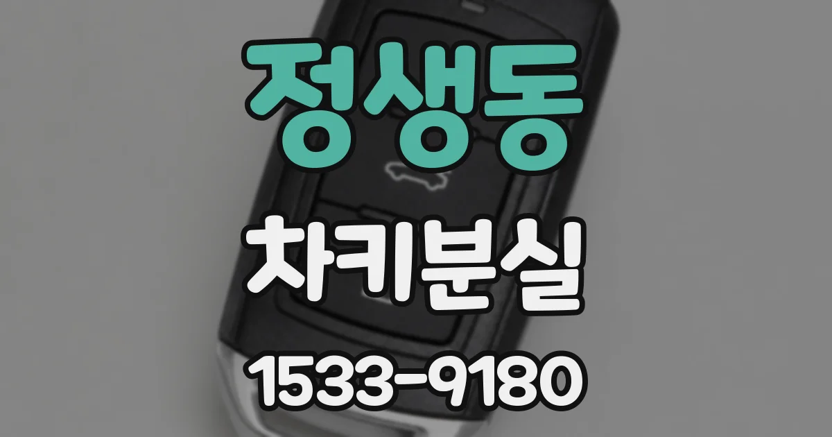 정생동 차키분실