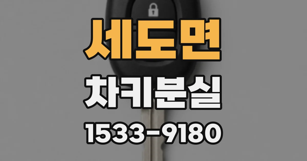 세도면 차키분실