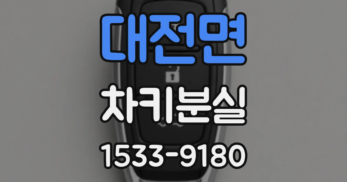 대전면 차키분실