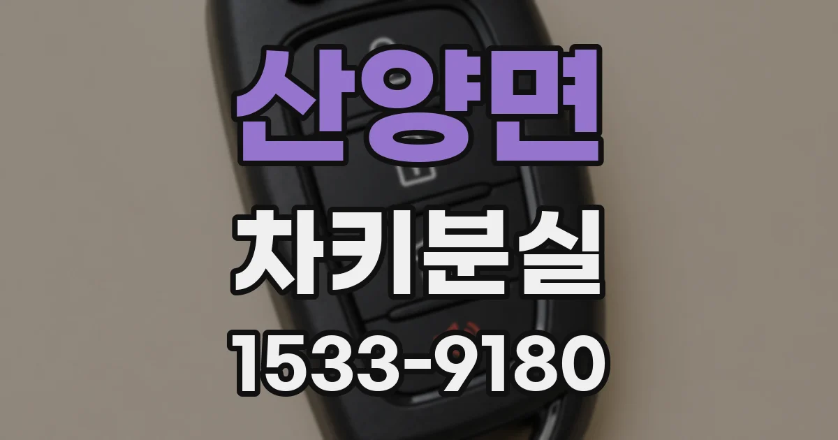산양면 차키분실