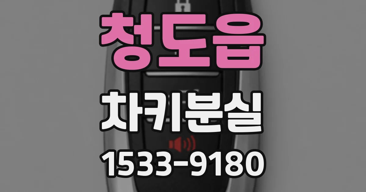 청도읍 차키분실