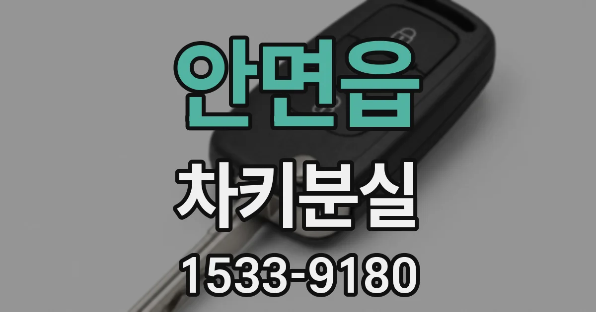 안면읍 차키분실