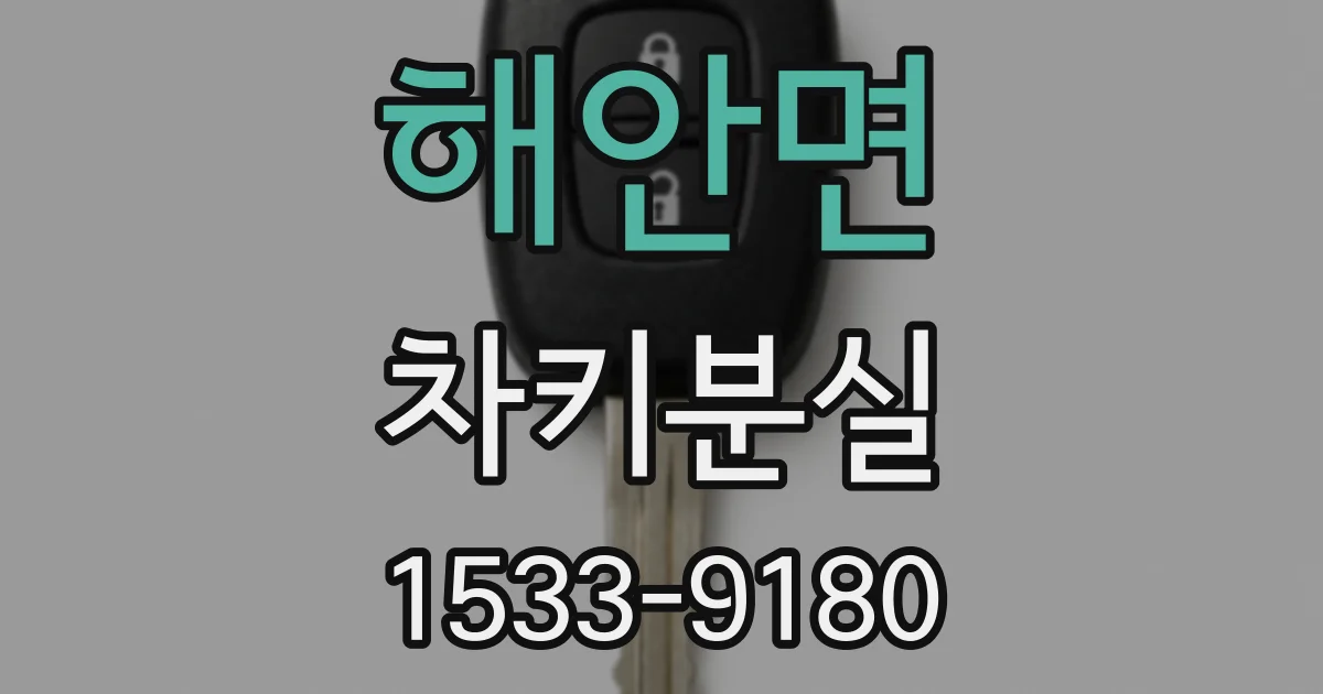 해안면 차키분실