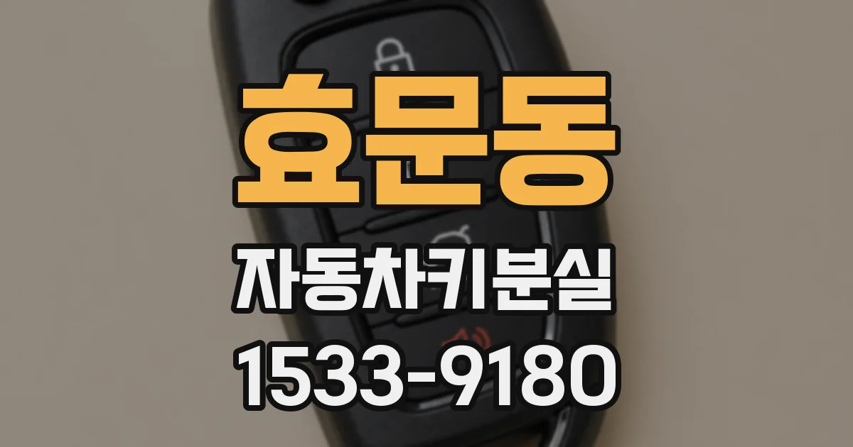 효문동 자동차키분실