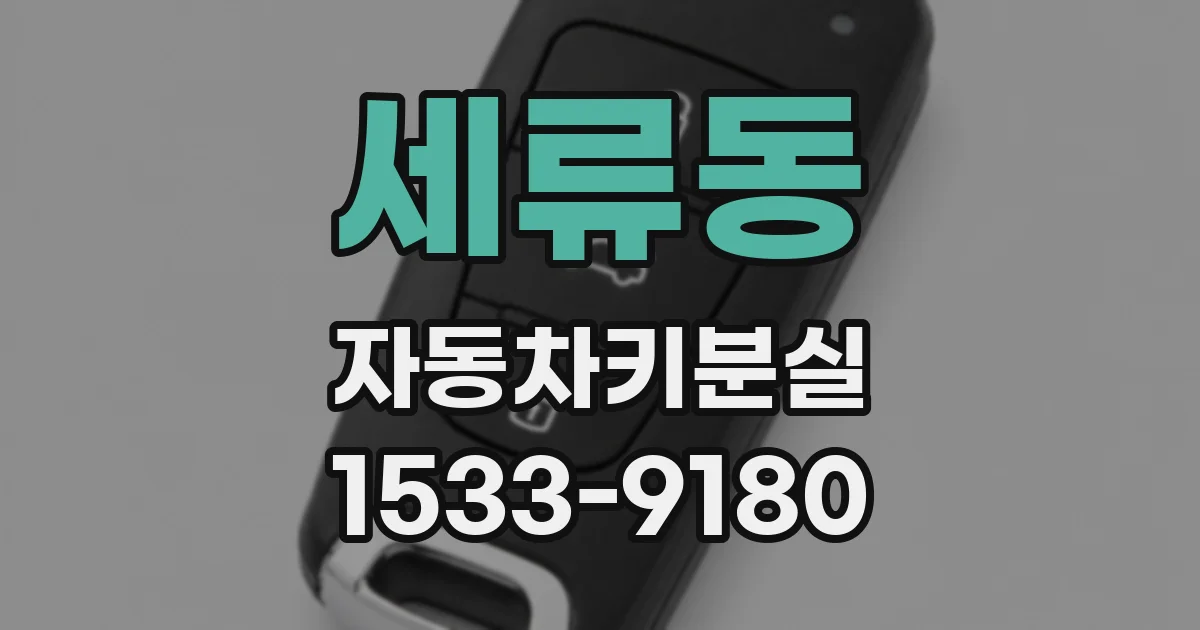세류동 자동차키분실