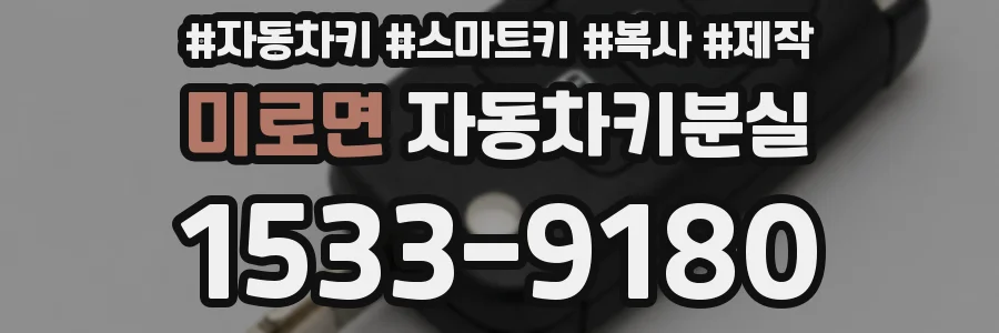 미로면 자동차키분실