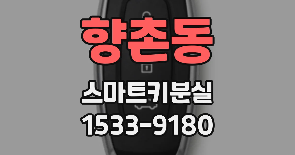 향촌동 스마트키분실