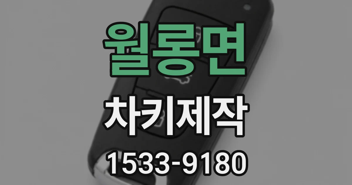 월롱면 차키제작