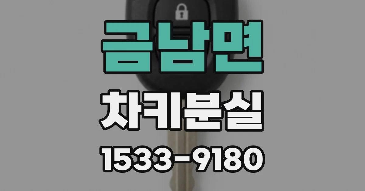 금남면 차키분실