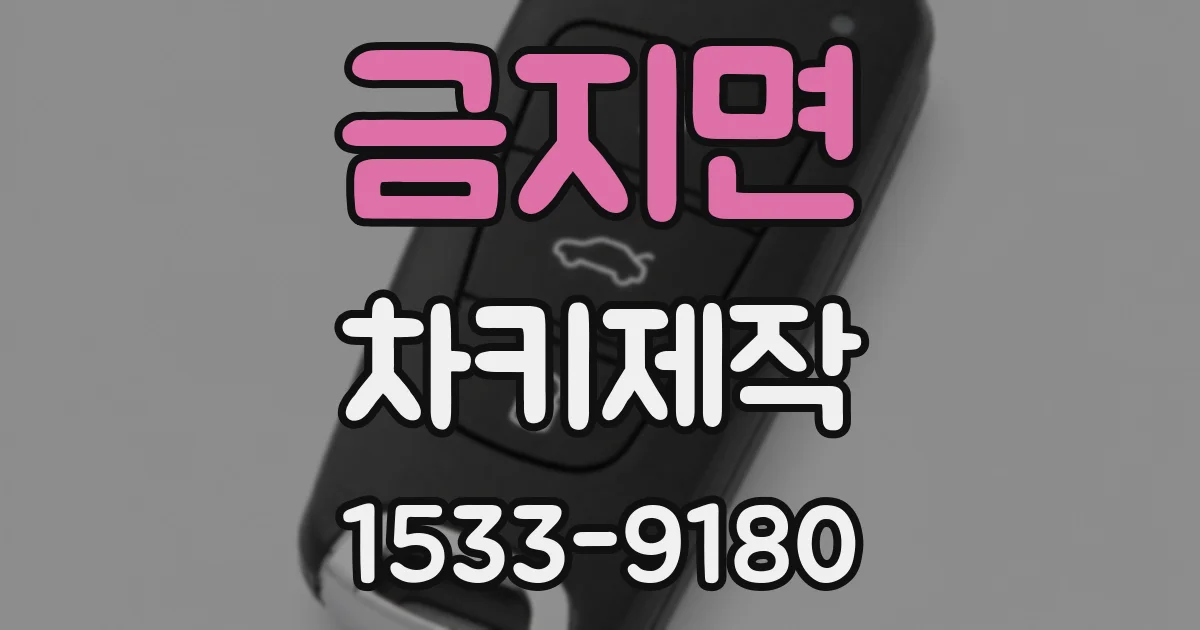 금지면 차키제작