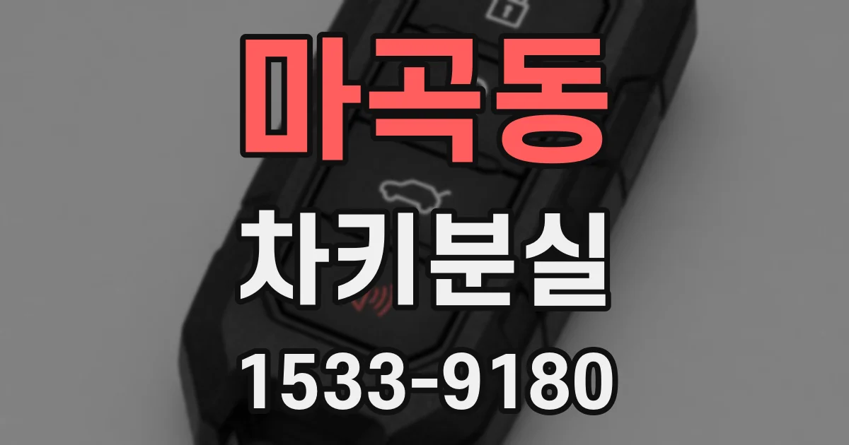 마곡동 차키분실
