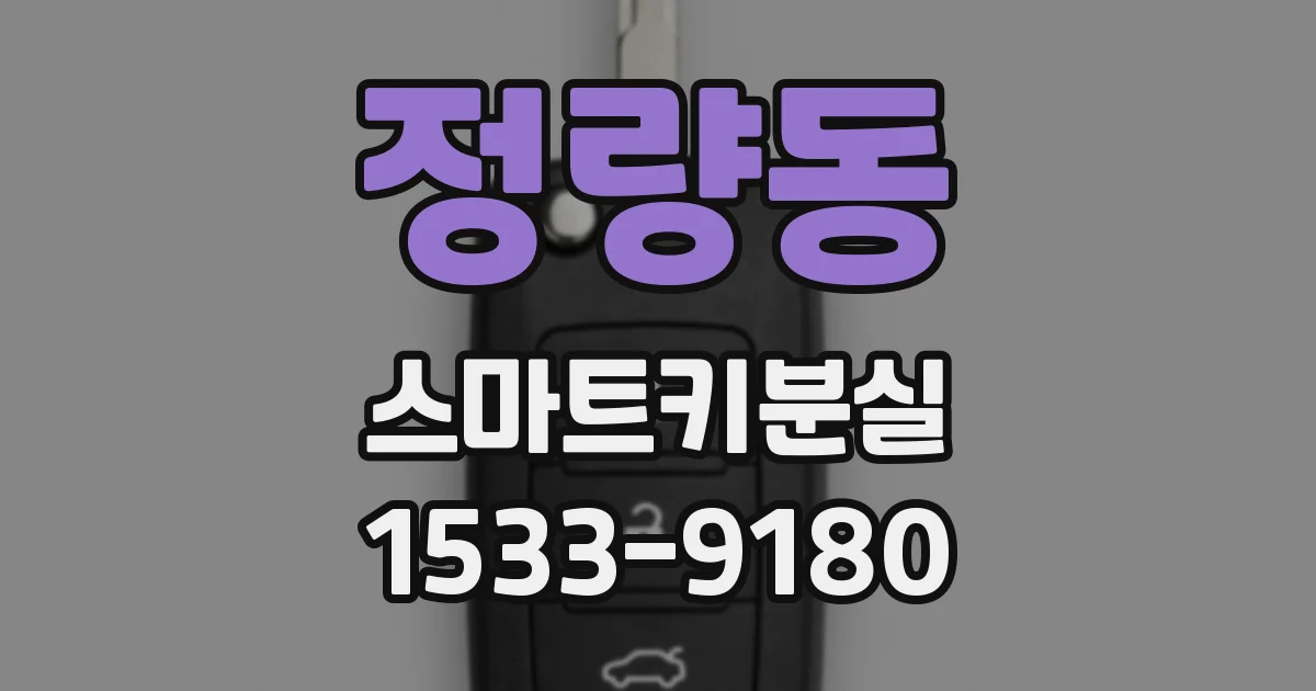 정량동 스마트키분실