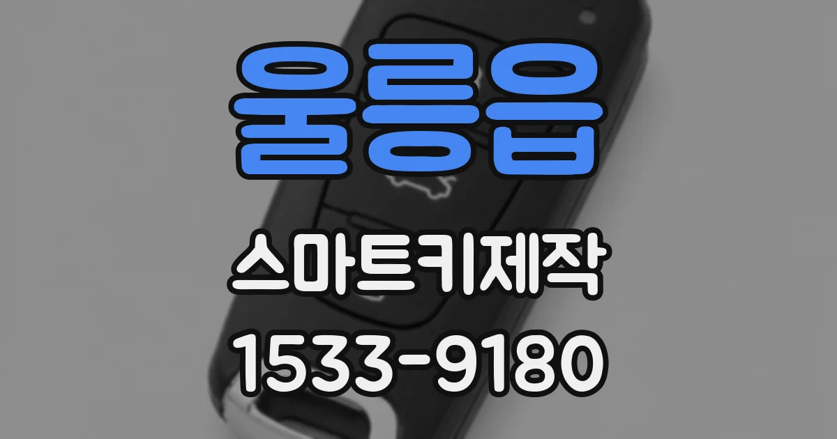 울릉읍 스마트키제작