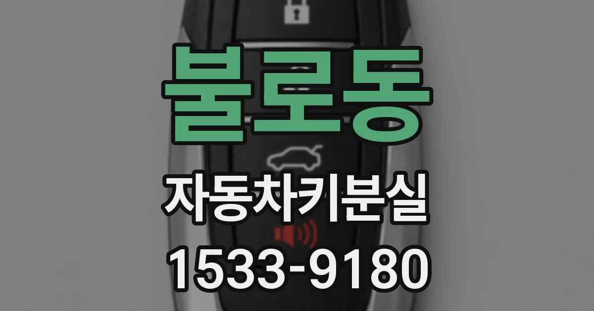 불로동 자동차키분실