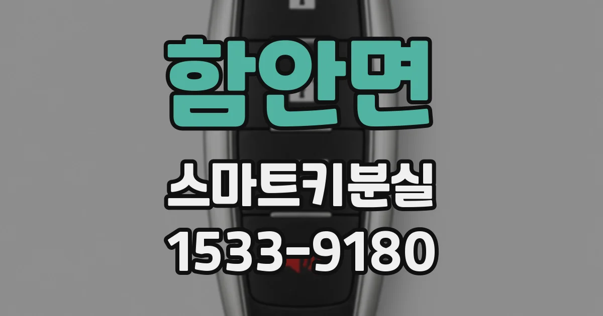 함안면 스마트키분실