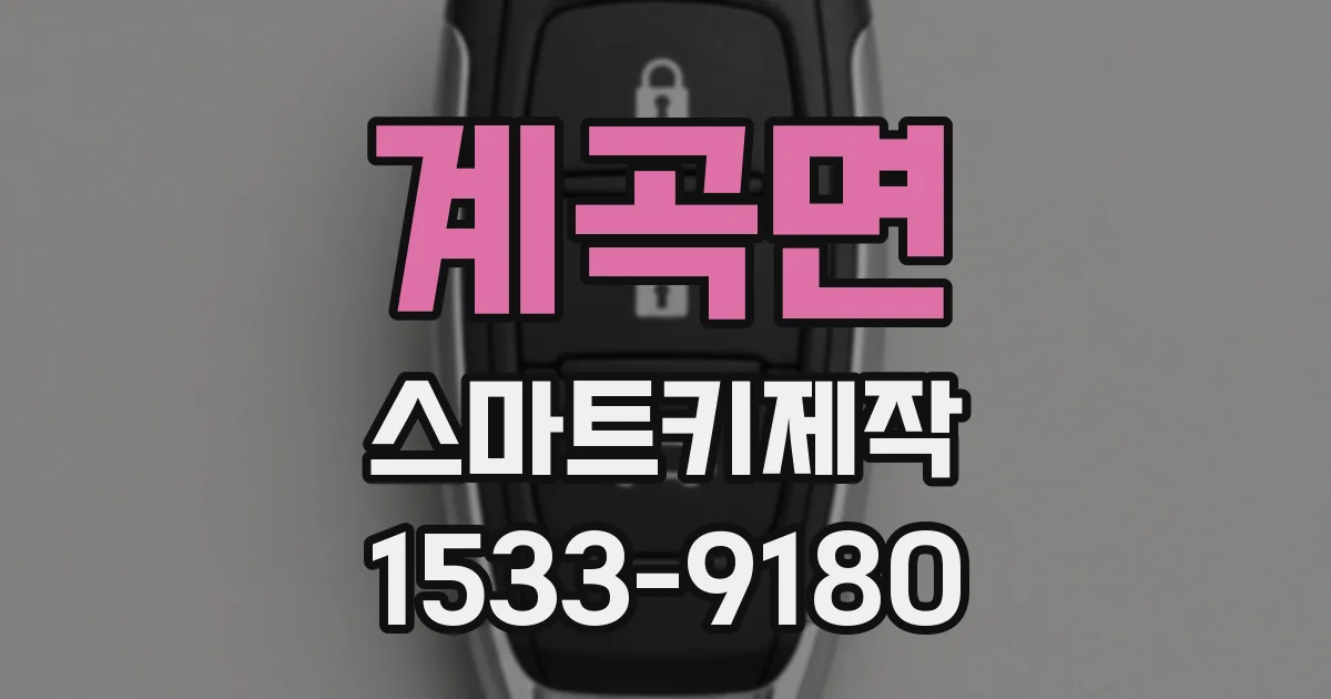 계곡면 스마트키제작