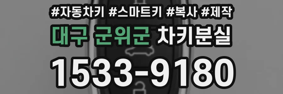 대구 군위군 차키분실